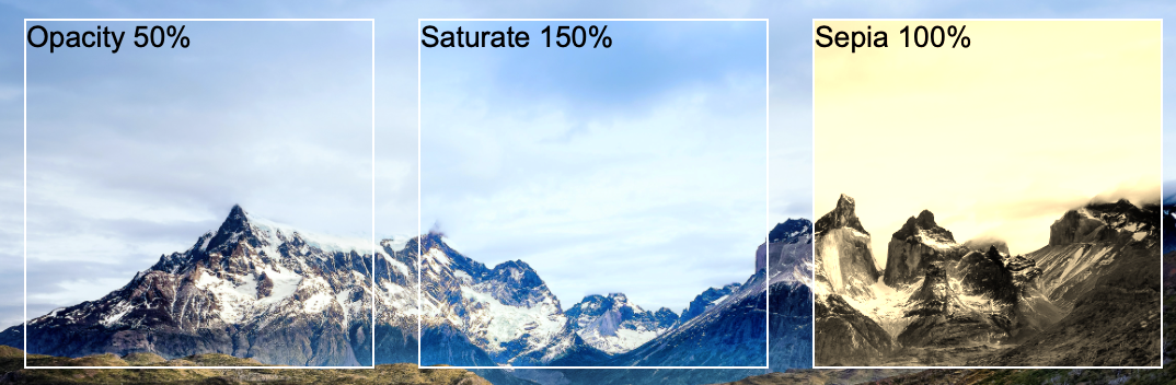 Backdrop filter example 3