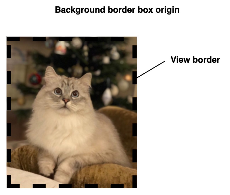 BorderBox origin