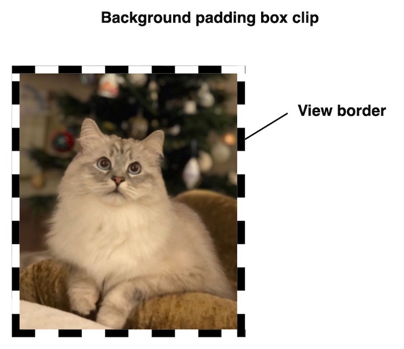 PaddingBox clip